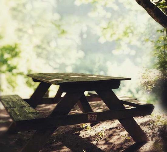 Şehirden Kaçışın Adresi: Akar Şelale Park’ta Huzur ve Lezzetin Buluşması